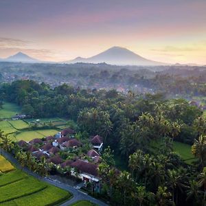 Dedary Kriyamaha Villas Ubud